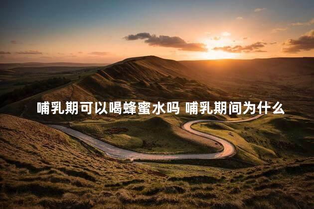 哺乳期可以喝蜂蜜水吗 哺乳期间为什么不能喝蜂蜜